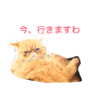 ふぢこさんの悩ましい日常（個別スタンプ：10）