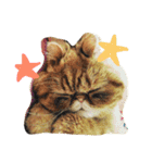 ふぢこさんの悩ましい日常（個別スタンプ：13）