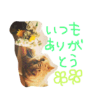 ふぢこさんの悩ましい日常（個別スタンプ：16）