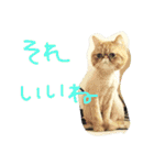 ふぢこさんの悩ましい日常（個別スタンプ：18）