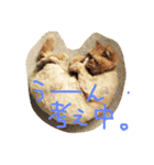 ふぢこさんの悩ましい日常（個別スタンプ：22）
