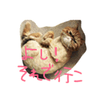 ふぢこさんの悩ましい日常（個別スタンプ：23）