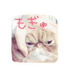 ふぢこさんの悩ましい日常（個別スタンプ：26）