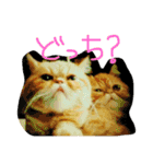 ふぢこさんの悩ましい日常（個別スタンプ：27）