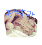 ふぢこさんの悩ましい日常（個別スタンプ：30）