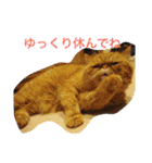 ふぢこさんの悩ましい日常（個別スタンプ：33）