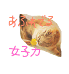 ふぢこさんの悩ましい日常（個別スタンプ：34）