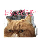 ふぢこさんの悩ましい日常（個別スタンプ：35）