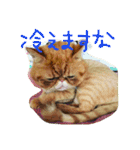 ふぢこさんの悩ましい日常（個別スタンプ：36）