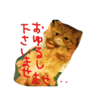 ふぢこさんの悩ましい日常（個別スタンプ：38）