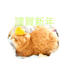 ふぢこさんの悩ましい日常（個別スタンプ：39）