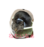れおん(ちょいでぶ)（個別スタンプ：2）