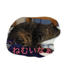 れおん(ちょいでぶ)（個別スタンプ：5）