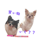 ぅちの子の言葉（個別スタンプ：9）