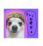 ぅちの子の言葉（個別スタンプ：11）