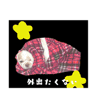 ぅちの子の言葉（個別スタンプ：15）