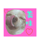 ぅちの子の言葉（個別スタンプ：18）