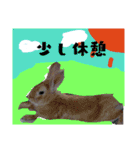 ぅちの子の言葉（個別スタンプ：25）