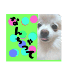ぅちの子の言葉（個別スタンプ：31）
