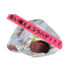 愛息子くん（個別スタンプ：10）