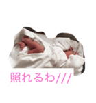 愛息子くん（個別スタンプ：11）