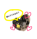 more..（個別スタンプ：2）
