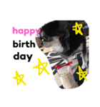 more..（個別スタンプ：4）
