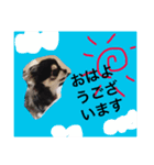 more..（個別スタンプ：6）