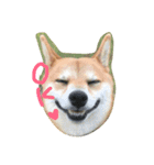 柴犬♡いっちゃん（個別スタンプ：2）