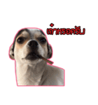 maliboojubjub（個別スタンプ：3）