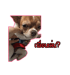 maliboojubjub（個別スタンプ：9）