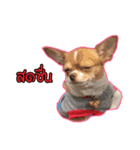 maliboojubjub（個別スタンプ：10）