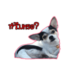 maliboojubjub（個別スタンプ：17）