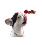 maliboojubjub（個別スタンプ：18）