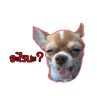 maliboojubjub（個別スタンプ：20）