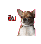 maliboojubjub（個別スタンプ：22）