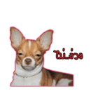 maliboojubjub（個別スタンプ：23）