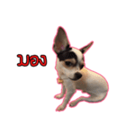 maliboojubjub（個別スタンプ：24）
