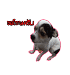 maliboojubjub（個別スタンプ：31）