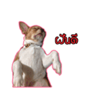 maliboojubjub（個別スタンプ：32）
