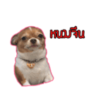 maliboojubjub（個別スタンプ：34）