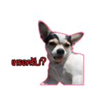 maliboojubjub（個別スタンプ：35）