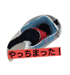 yuki＆y（個別スタンプ：10）