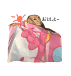 nitijowanchann（個別スタンプ：4）