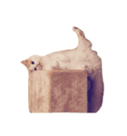 くれあとしえる（個別スタンプ：2）