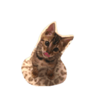 くれあとしえる（個別スタンプ：7）