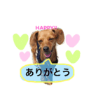 もずくのスタンプ（個別スタンプ：4）