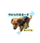 もずくのスタンプ（個別スタンプ：6）