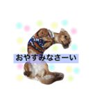 もずくのスタンプ（個別スタンプ：11）