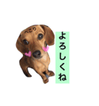 もずくのスタンプ（個別スタンプ：14）